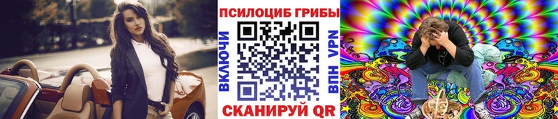 Псилоцибиновые грибы Psilocybe  даркнет сайт  Поронайск 