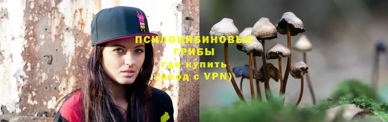 Псилоцибиновые грибы Psilocybine cubensis  Поронайск 